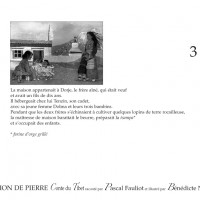 LION DE PIERRE (LE) (KAMISHIBAÏ)