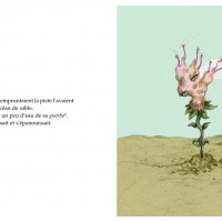 FLEUR (Livre-CD)