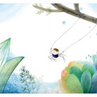 UNE TOUTE PETITE ARAIGNÉE (KAMISHIBAÏ)