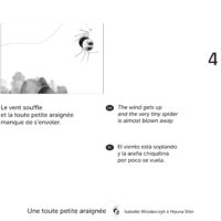 UNE TOUTE PETITE ARAIGNÉE (KAMISHIBAÏ)