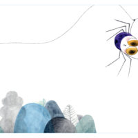 UNE TOUTE PETITE ARAIGNÉE (KAMISHIBAÏ)