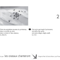 TANT QUE LES OISEAUX CHANTERONT (KAMISHIBAÏ)