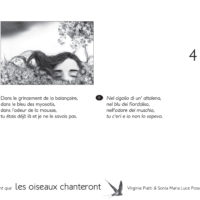 TANT QUE LES OISEAUX CHANTERONT (KAMISHIBAÏ)