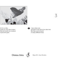 OISEAU BLEU (KAMISHIBAÏ)