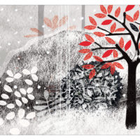 PREMIÈRE FOIS QUE L’OURS DORMIT TOUT L’HIVER(LA) (KAMISHIBAÏ)