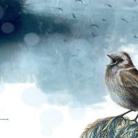 TANT QUE LES OISEAUX CHANTERONT