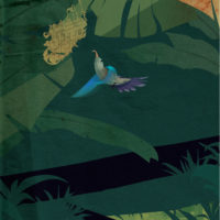 COLIBRIS