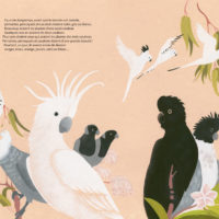 OISEAUX ET L’ARC-EN-CIEL (LES)