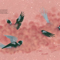 OISEAUX ET L’ARC-EN-CIEL (LES)