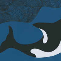 QUI ME FUIT, QUI ME SUIT ?