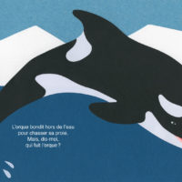 QUI ME FUIT, QUI ME SUIT ?