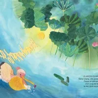 GRENOUILLE ET PÉLICAN