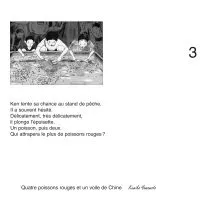 QUATRE POISSONS ET UN VOILE DE CHINE (KAMISHIBAÏ)