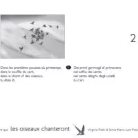 TANT QUE LES OISEAUX CHANTERONT (KAMISHIBAÏ)