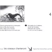 TANT QUE LES OISEAUX CHANTERONT (KAMISHIBAÏ)