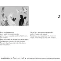 OISEAUX ET L’ARC-EN-CIEL (LES) (KAMISHIBAÏ)