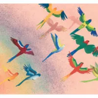 OISEAUX ET L’ARC-EN-CIEL (LES) (KAMISHIBAÏ)