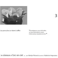 OISEAUX ET L’ARC-EN-CIEL (LES) (KAMISHIBAÏ)