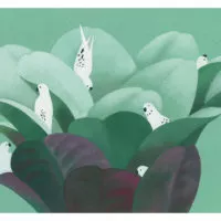 OISEAUX ET L’ARC-EN-CIEL (LES) (KAMISHIBAÏ)