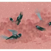 OISEAUX ET L’ARC-EN-CIEL (LES) (KAMISHIBAÏ)