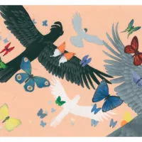 OISEAUX ET L’ARC-EN-CIEL (LES) (KAMISHIBAÏ)