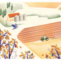 D’UN GRAIN DE BLÉ (KAMISHIBAÏ)